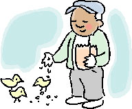 man-feeding-birds-cartoon.jpg